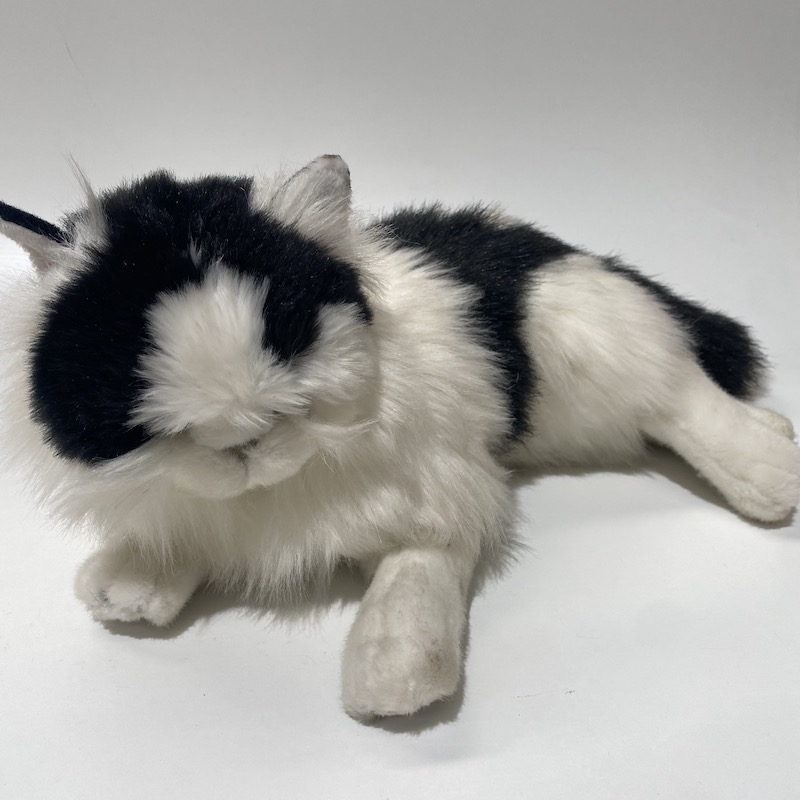CAT, Black White 50cmL